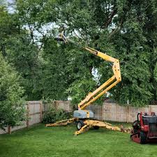 Best Grass Overseeding  in Walthourville, GA