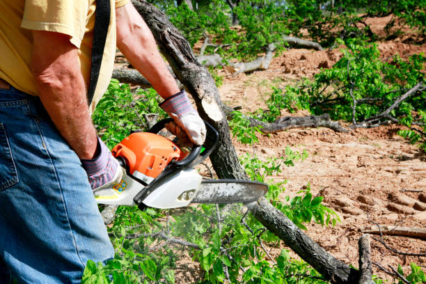 Best Lawn Irrigation Installation and Maintenance  in Walthourville, GA